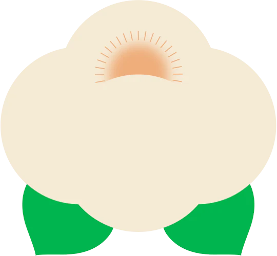 茉莉奶白分类